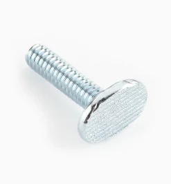 1/4-20 T-Bolts