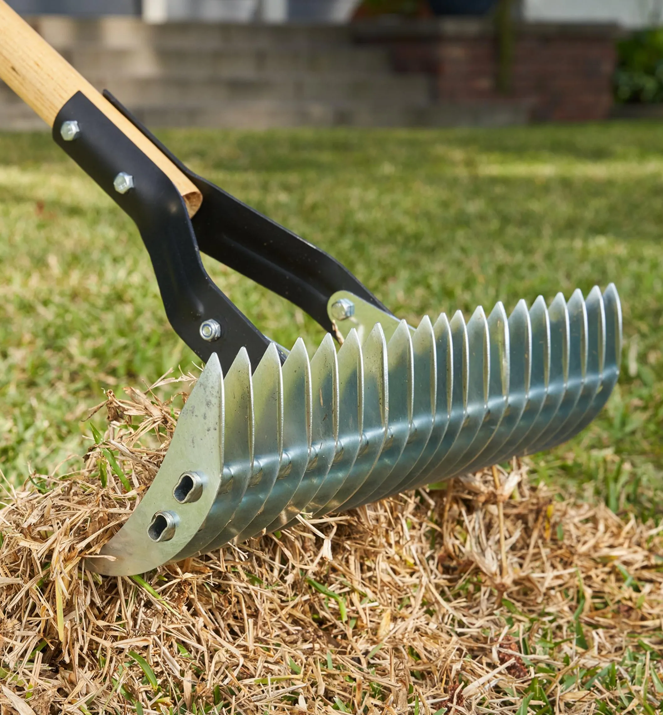 Adjustable Thatch Rake