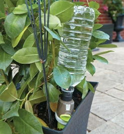 Adjustable-Flow Drip Spike