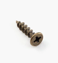 Antique Brass Hinge Screws