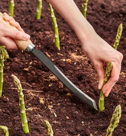 Asparagus/Harvest Knife