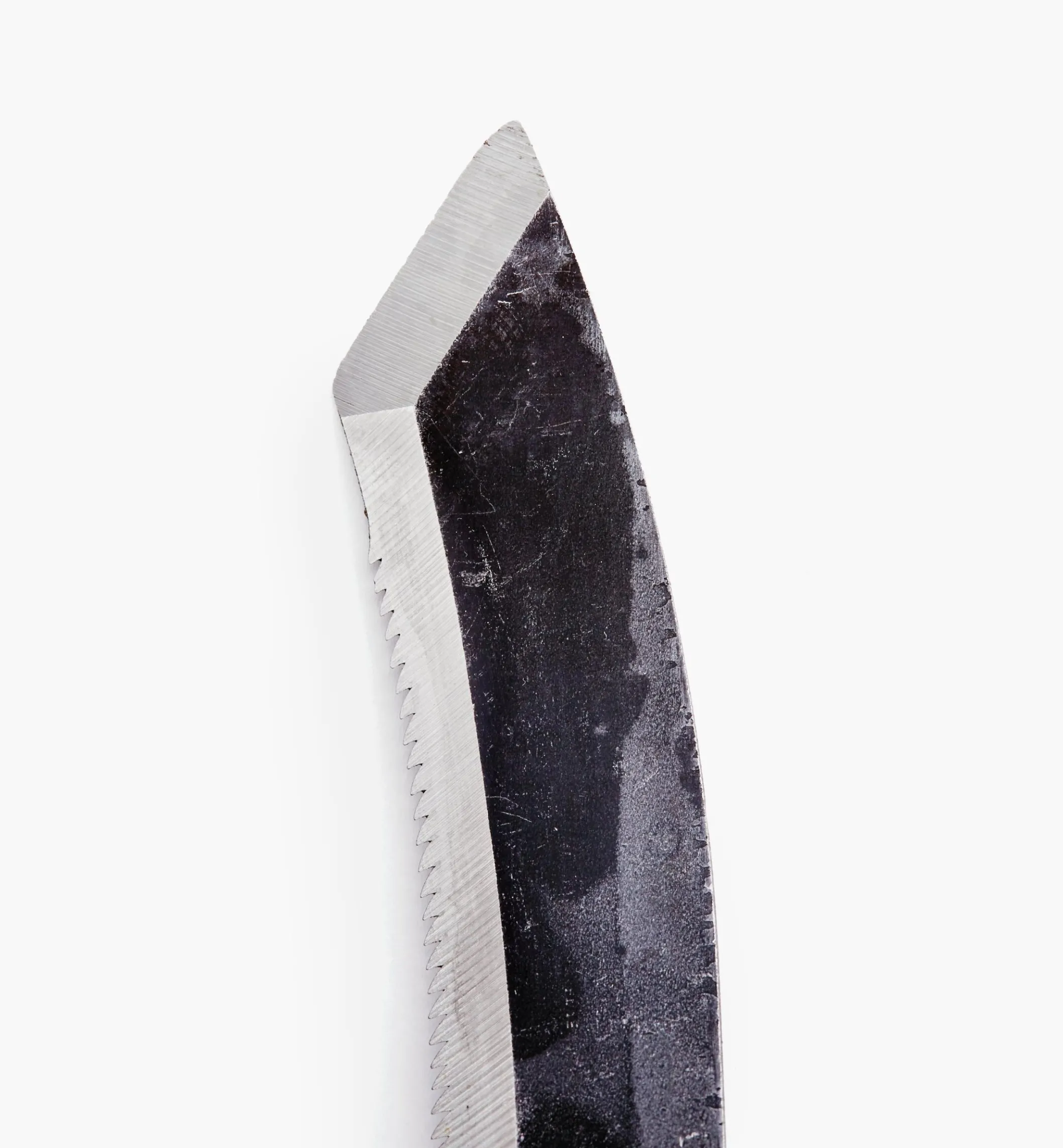 Asparagus/Harvest Knife