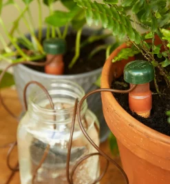 Automatic Plant Waterers