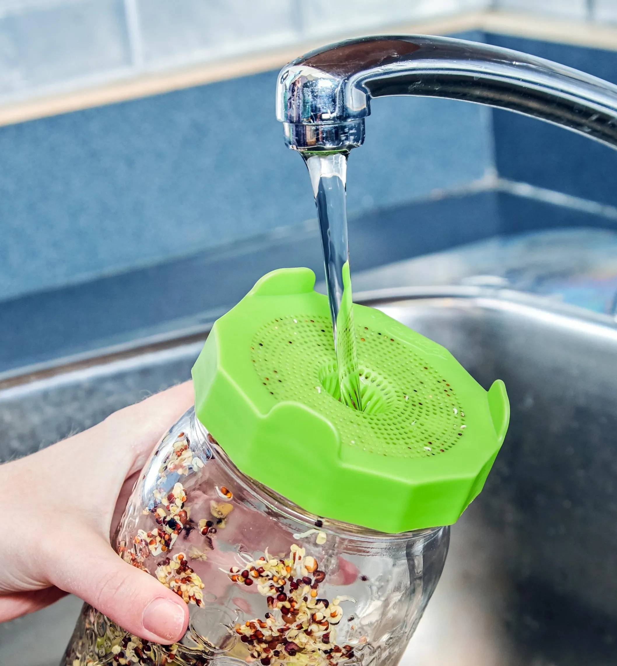 Bean Screen Sprouting Lids