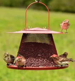 Bird Feeding Set