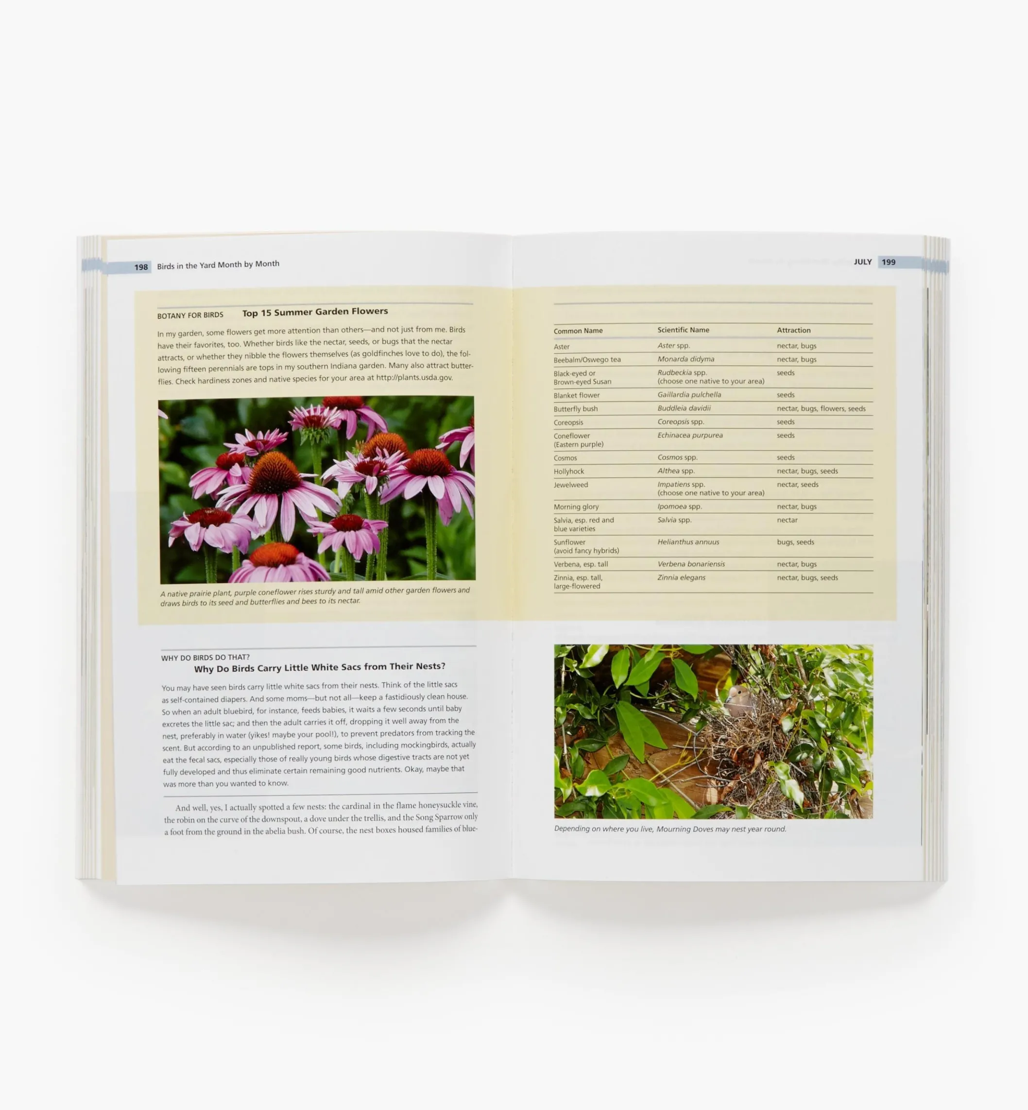 Birds In The Yard Month By Month