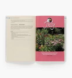 Birds In The Yard Month By Month