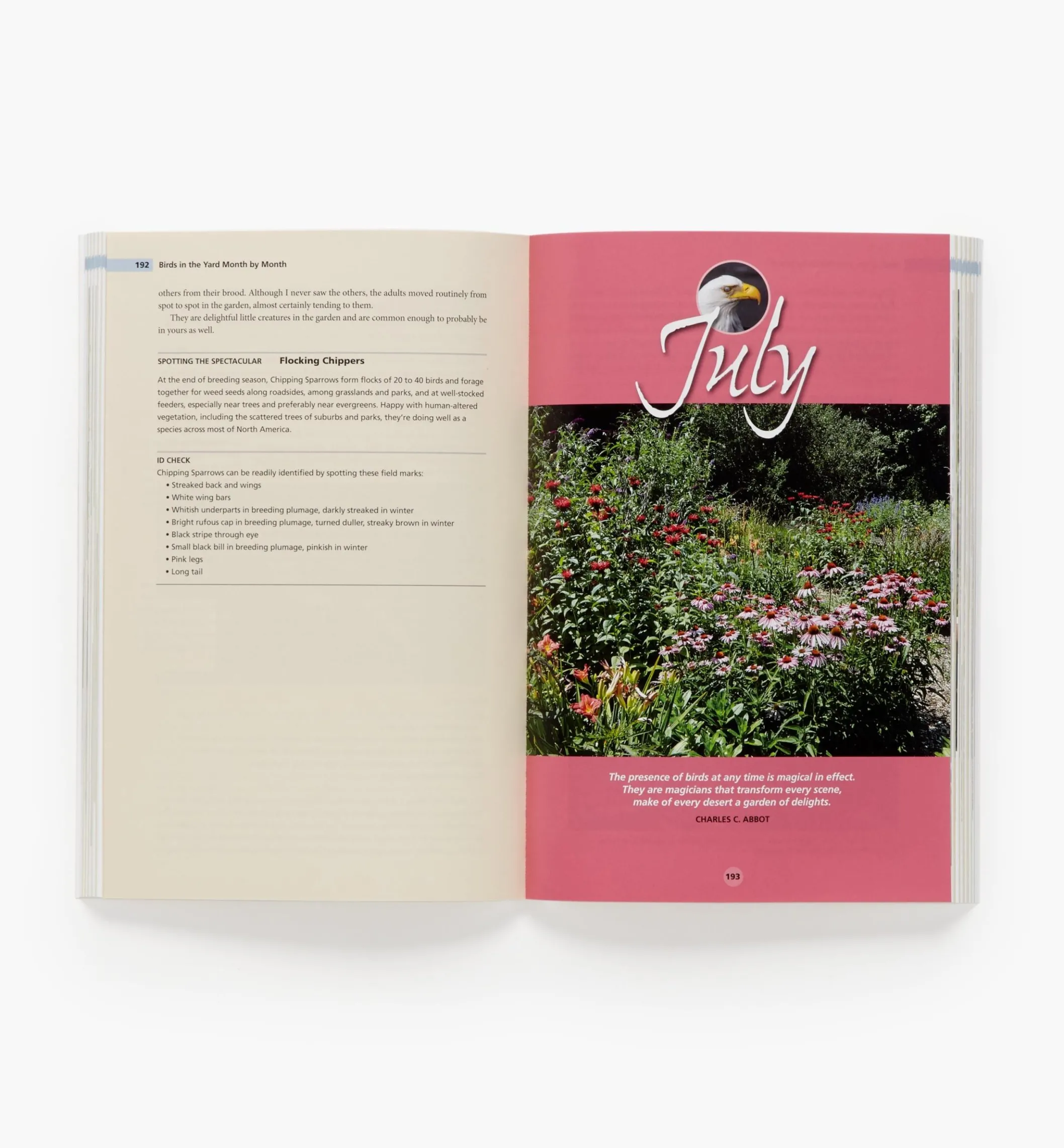 Birds In The Yard Month By Month