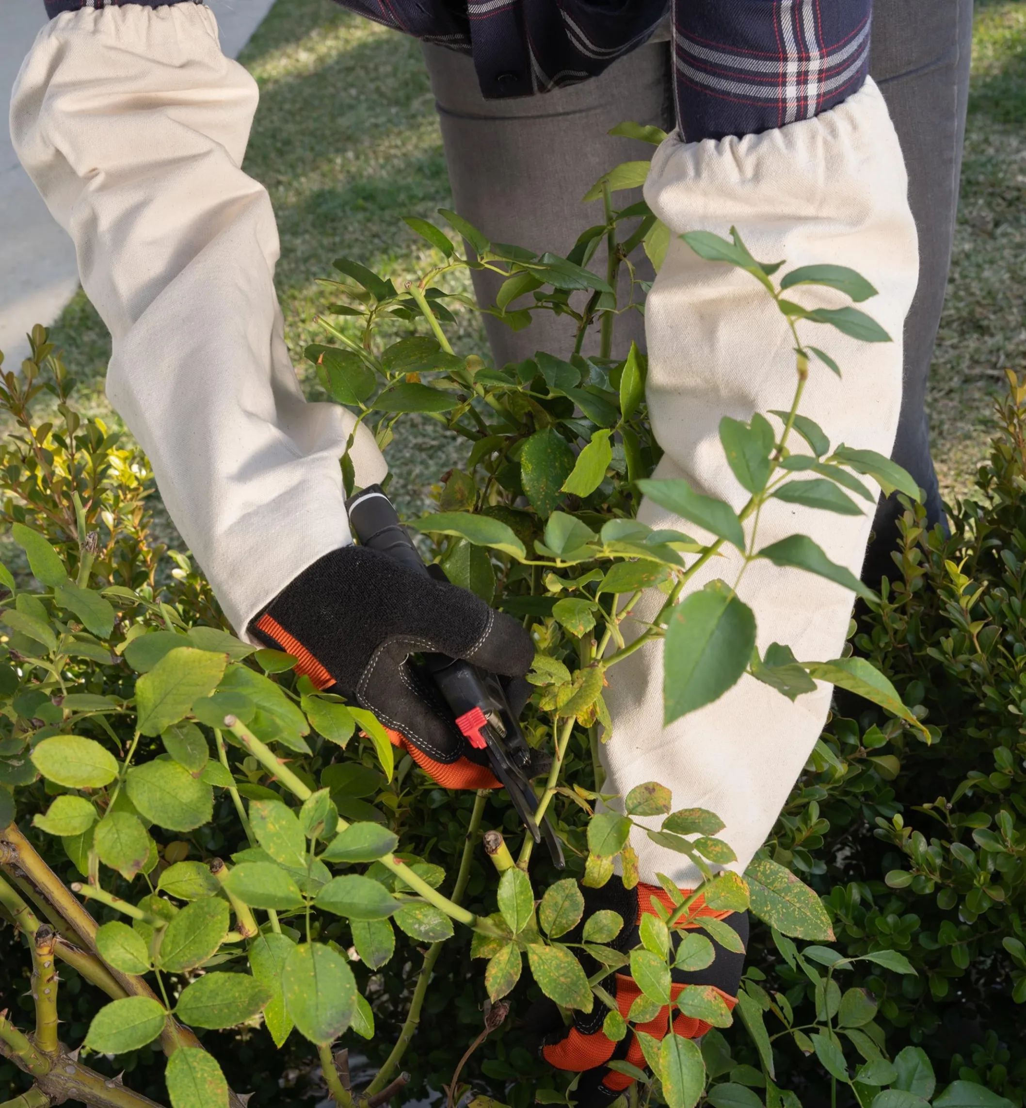 Canvas Arm Protectors