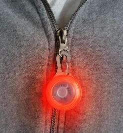 Carabiner LED Light
