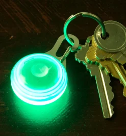 Carabiner LED Light