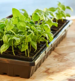 72-Cell Air-Pruning Seed Starter