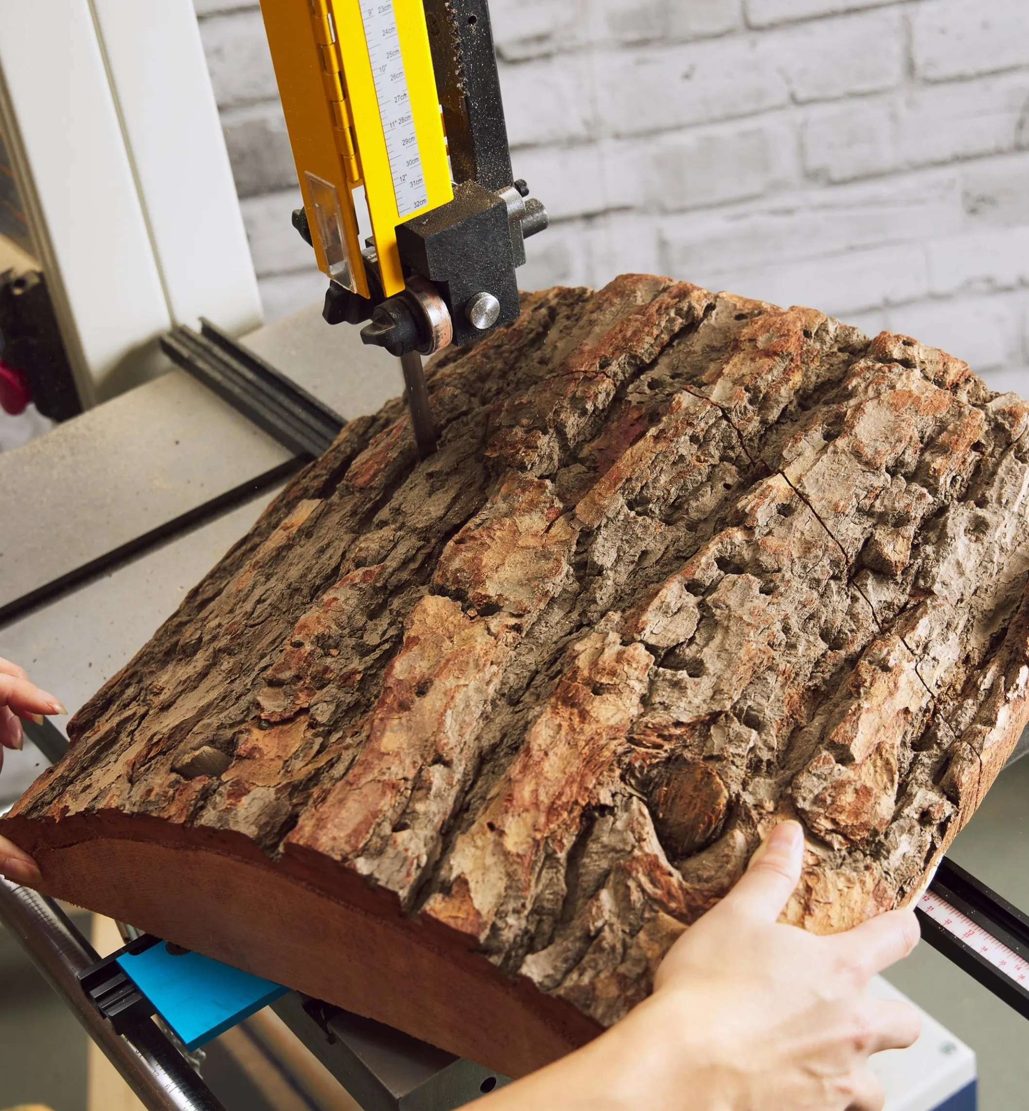 Circle-Cutting Jig With Support