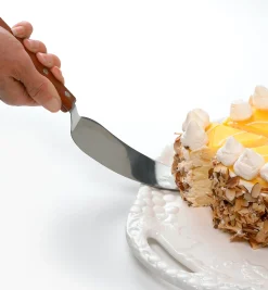 Classic Stainless-Steel Cake Knife And Server