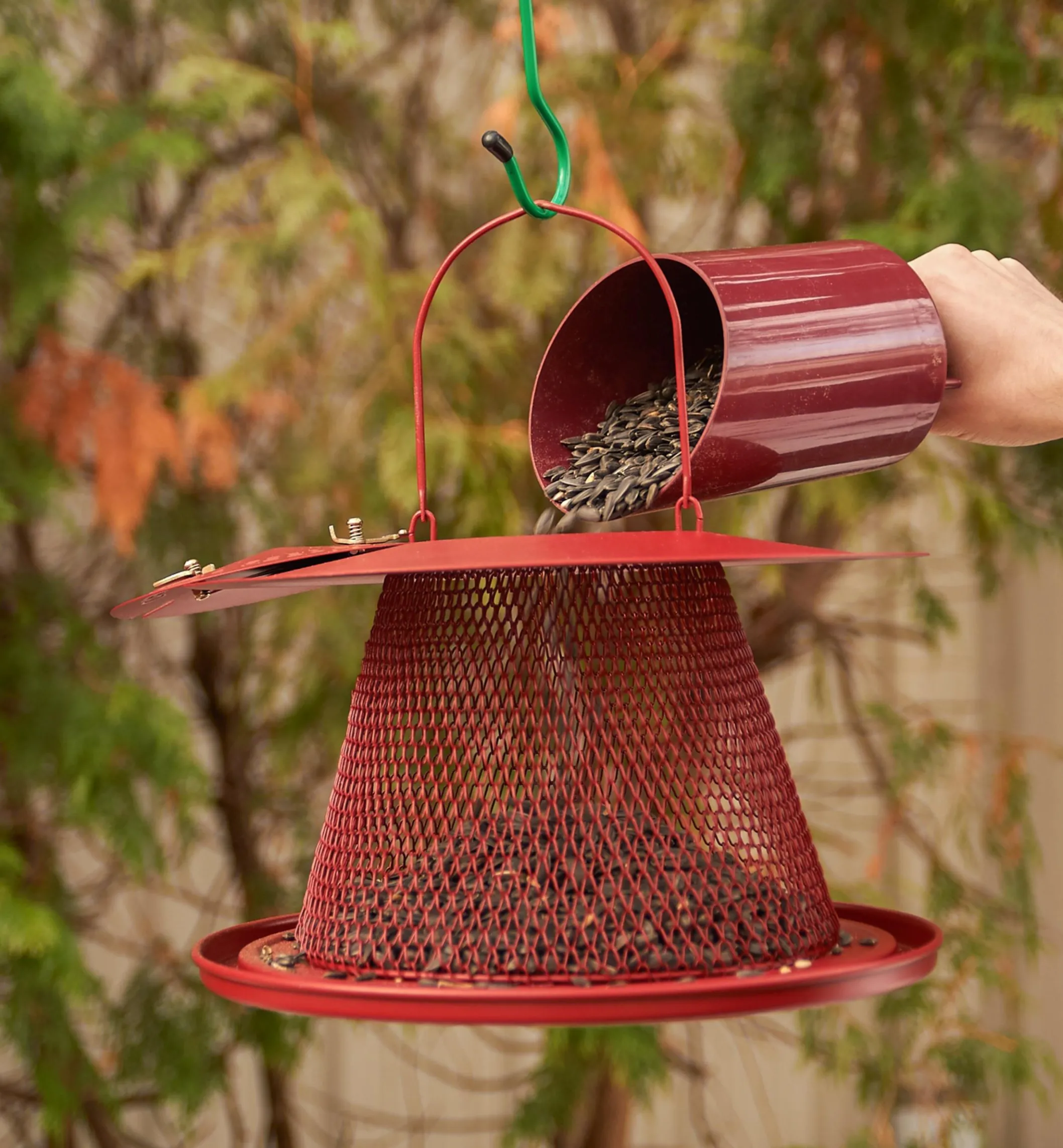 Collapsible Bird Feeder