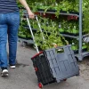 Collapsible Cart