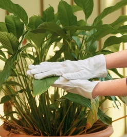 Cotton Utility Gloves