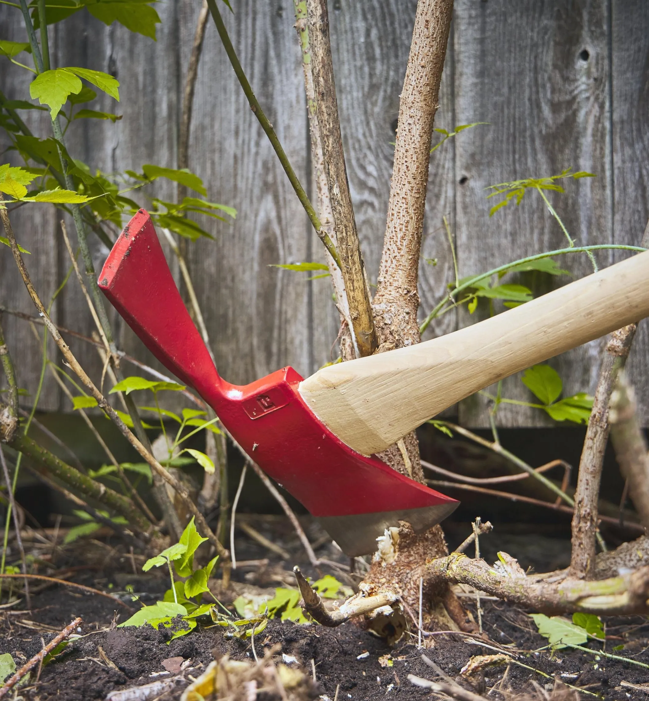 Council Tool Pulaski