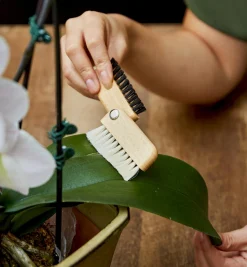 Detail Dusting Brush