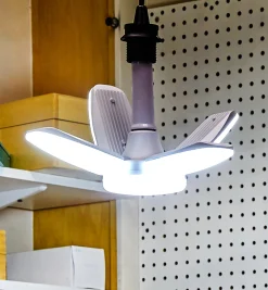 Directional LED Ceiling Light