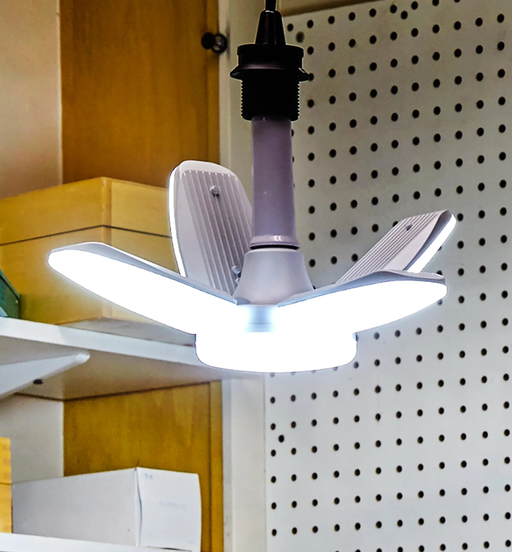 Directional LED Ceiling Light