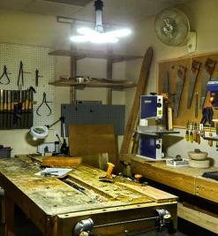 Directional LED Ceiling Light