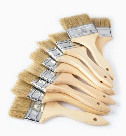 Disposable Natural-Bristle Brushes