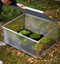 Double-Walled Cold Frame