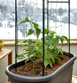 Elho Self-Watering Planter With Trellis