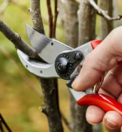 Felco #2 Classic Pruner