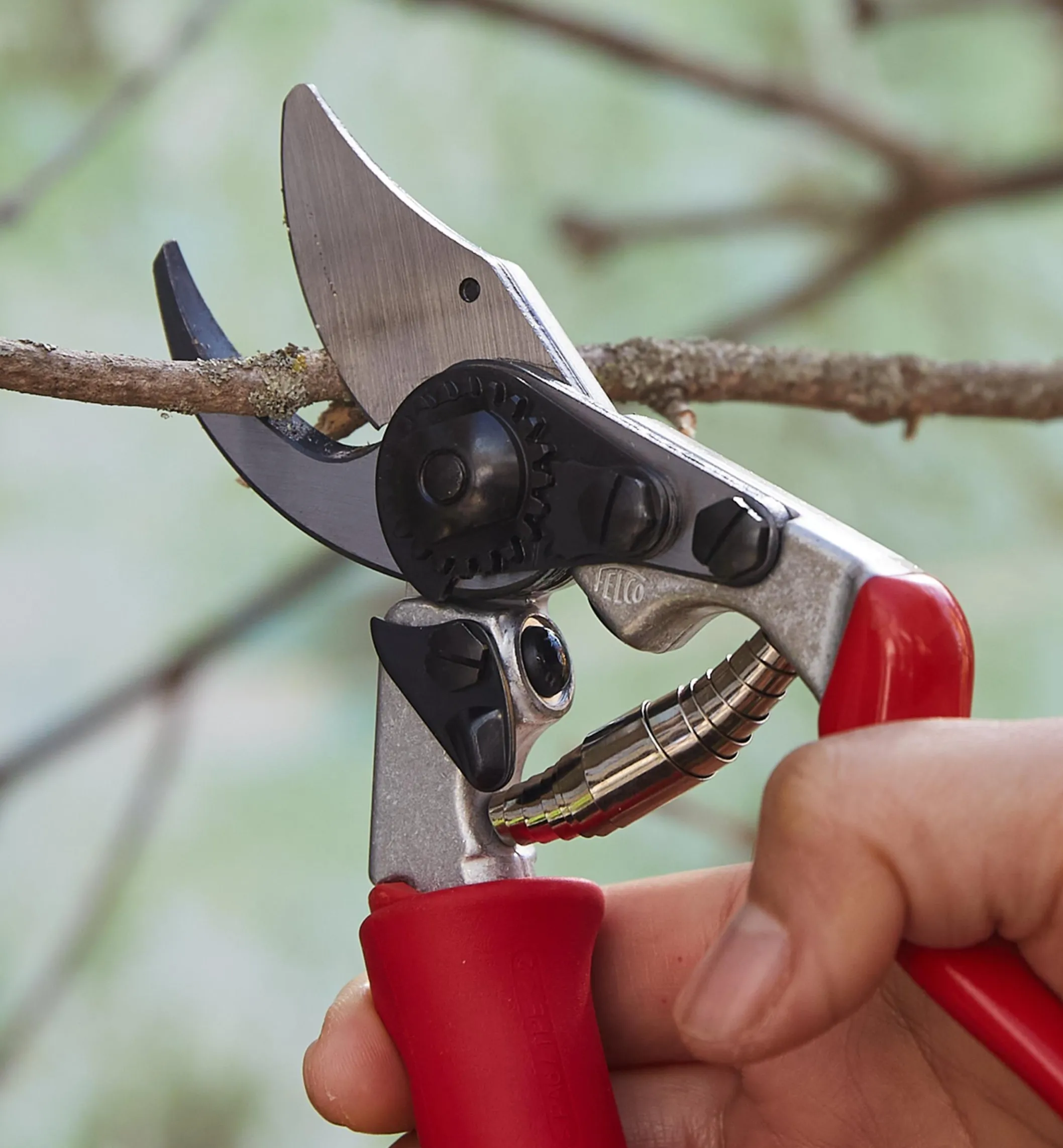 Felco #15 Pruner