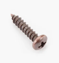 Finished Steel Screws