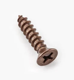 Finished Steel Screws