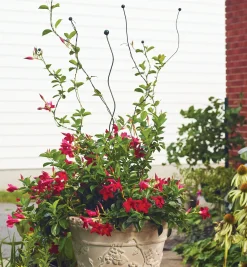 Flexible Garden Stake