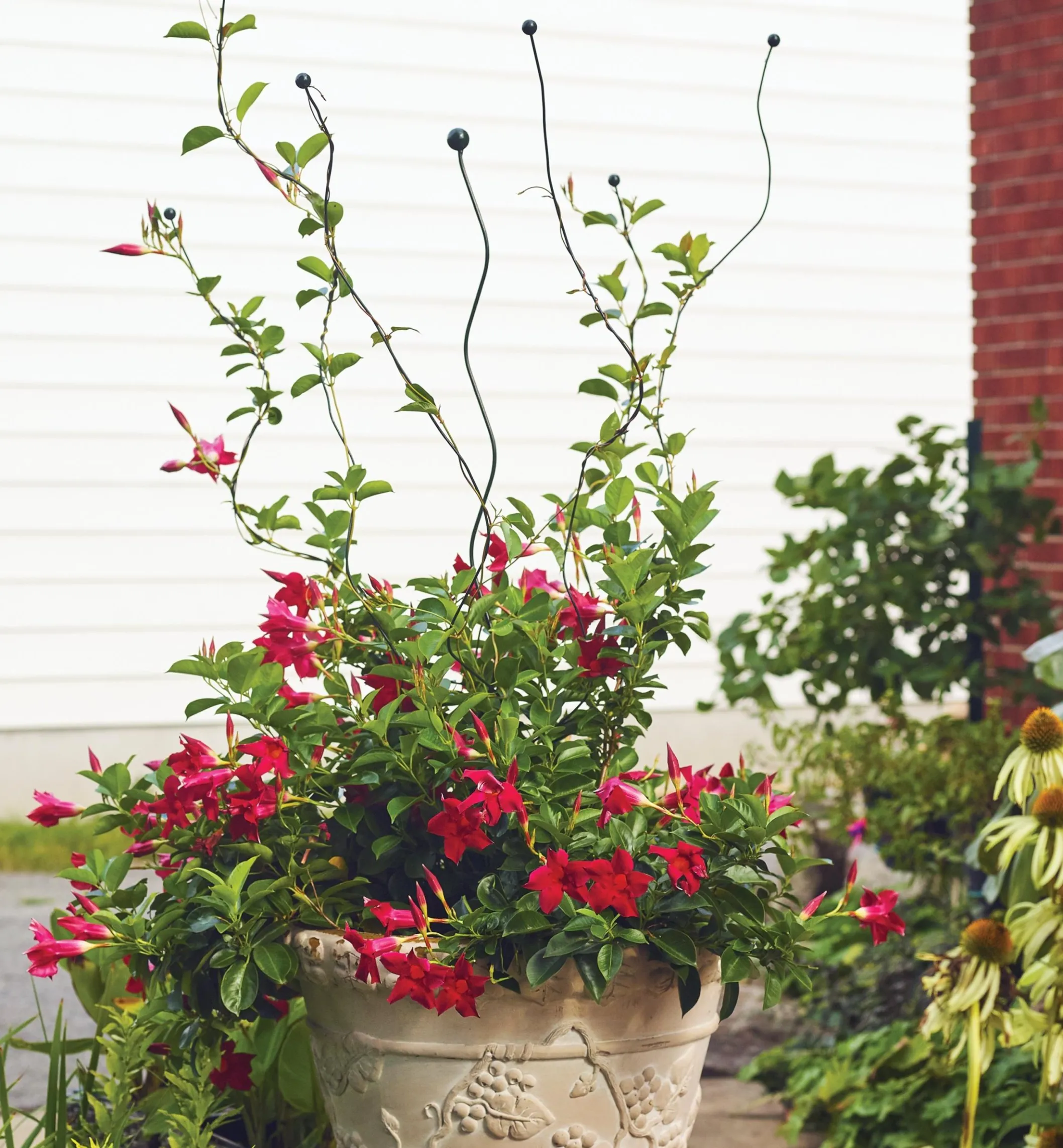 Flexible Garden Stake