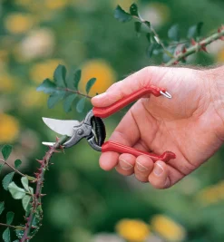 Forged Pocket Pruner