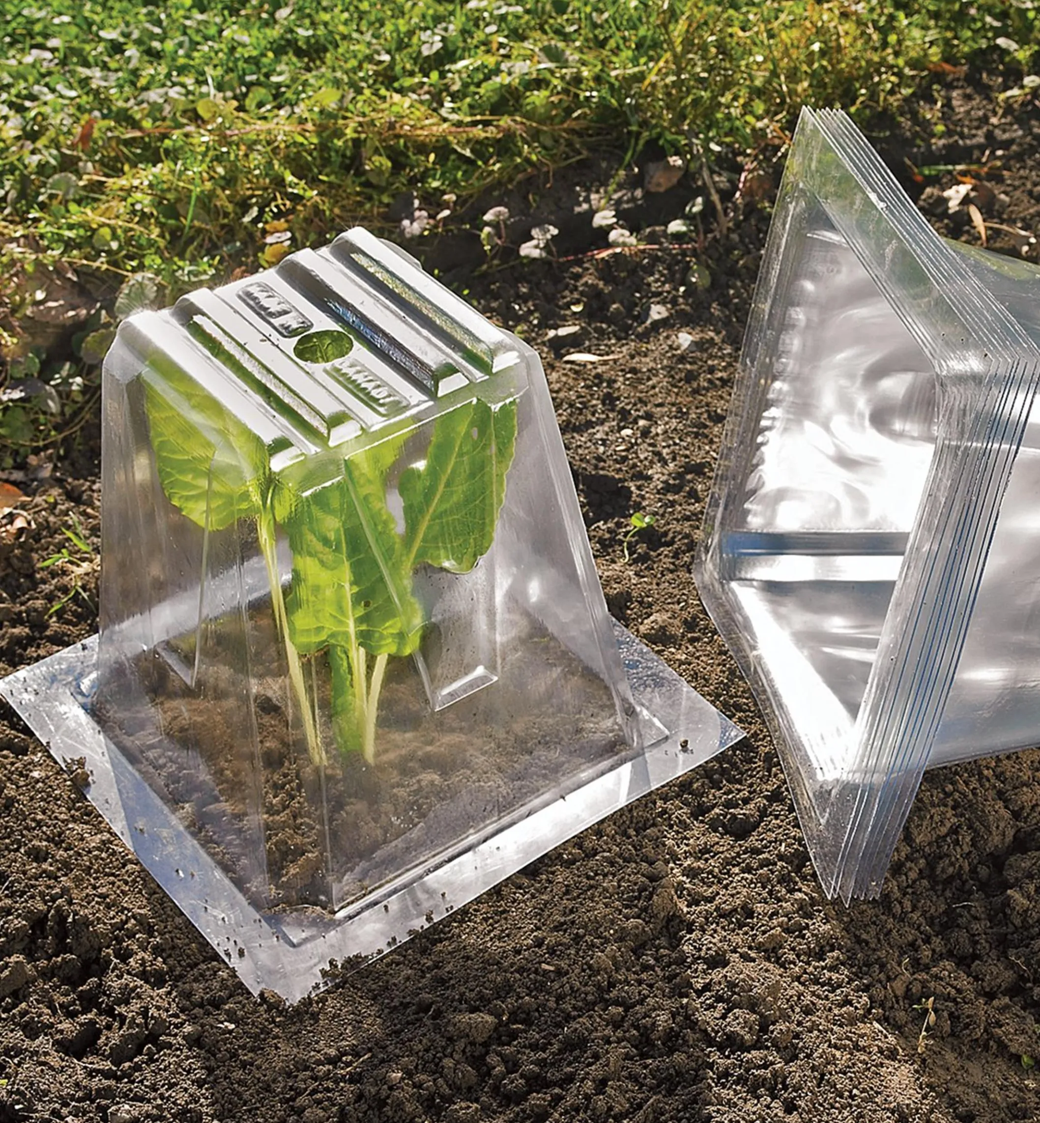 Garden Cloches