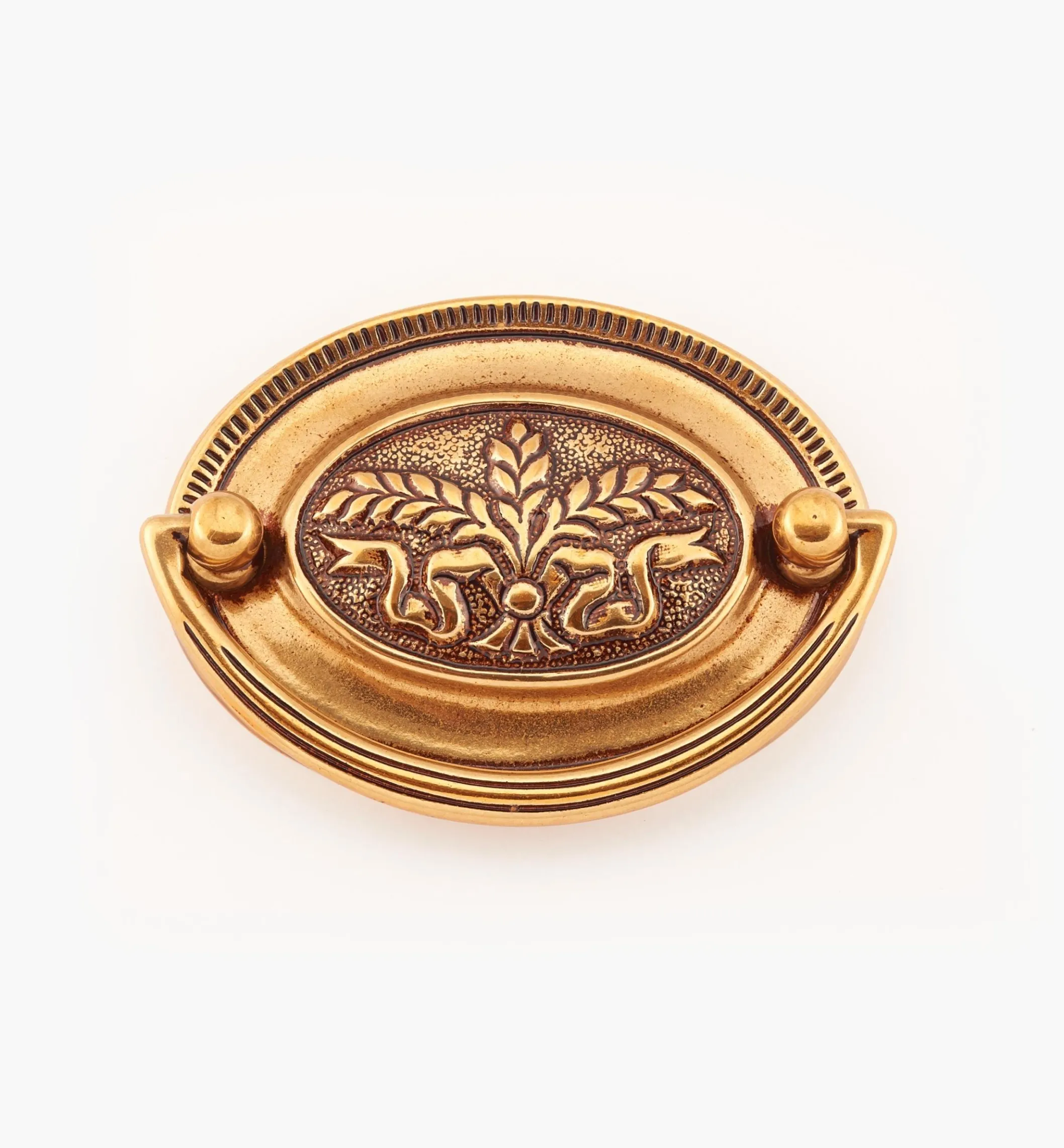 Georgian Cast Plate Pulls