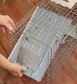 Havahart Animal Traps