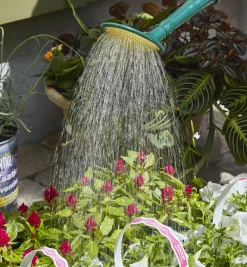 Haws Plastic Watering Can