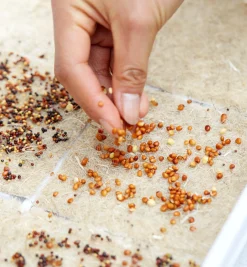 Hemp-Fiber Grow Mats