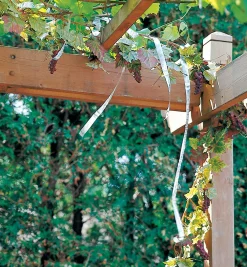 Holographic Scare Tape