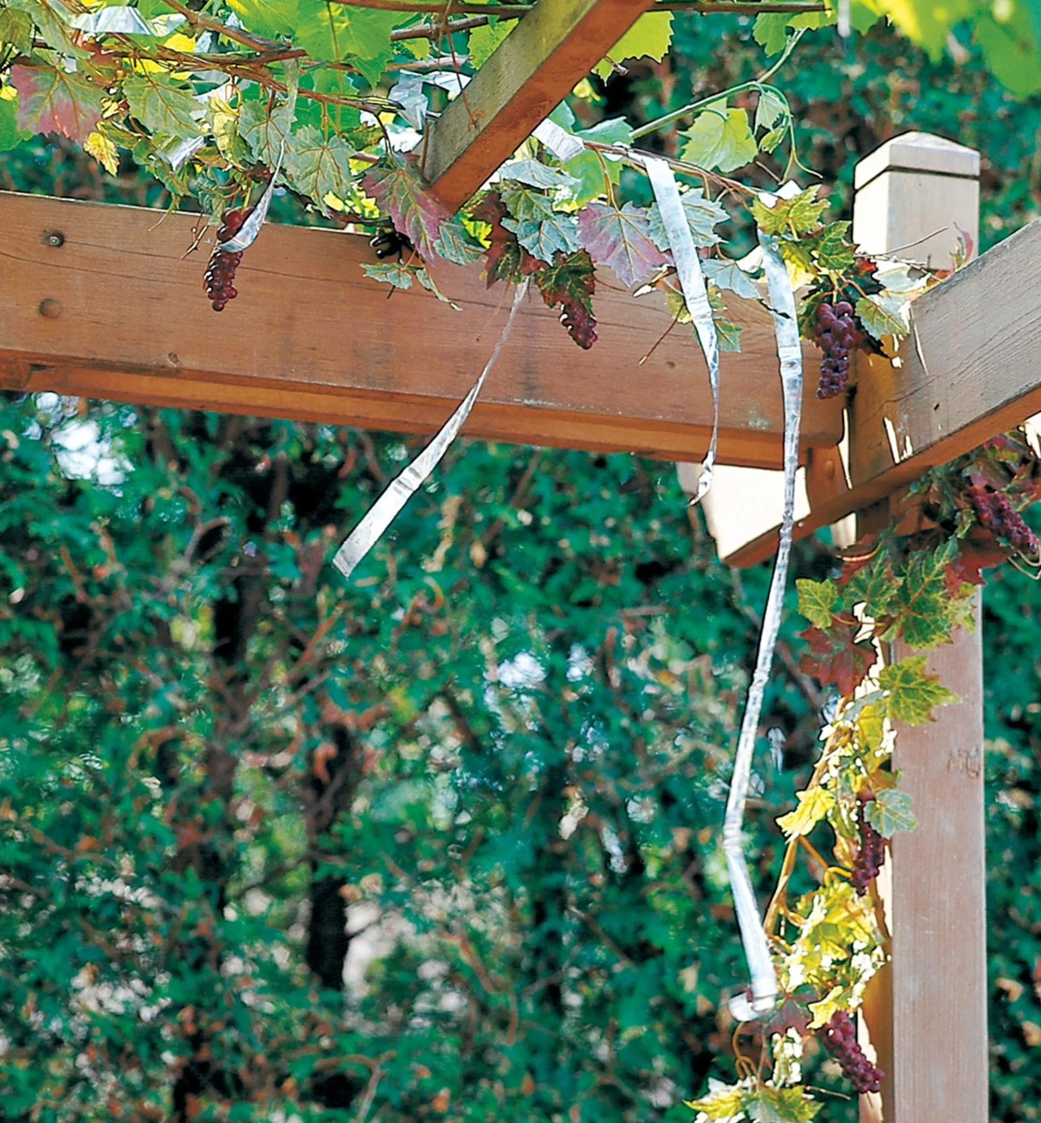 Holographic Scare Tape