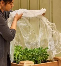 Insect Protection Fabric & Pack Of 10 Hoops