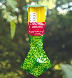 Japanese Beetle Trap