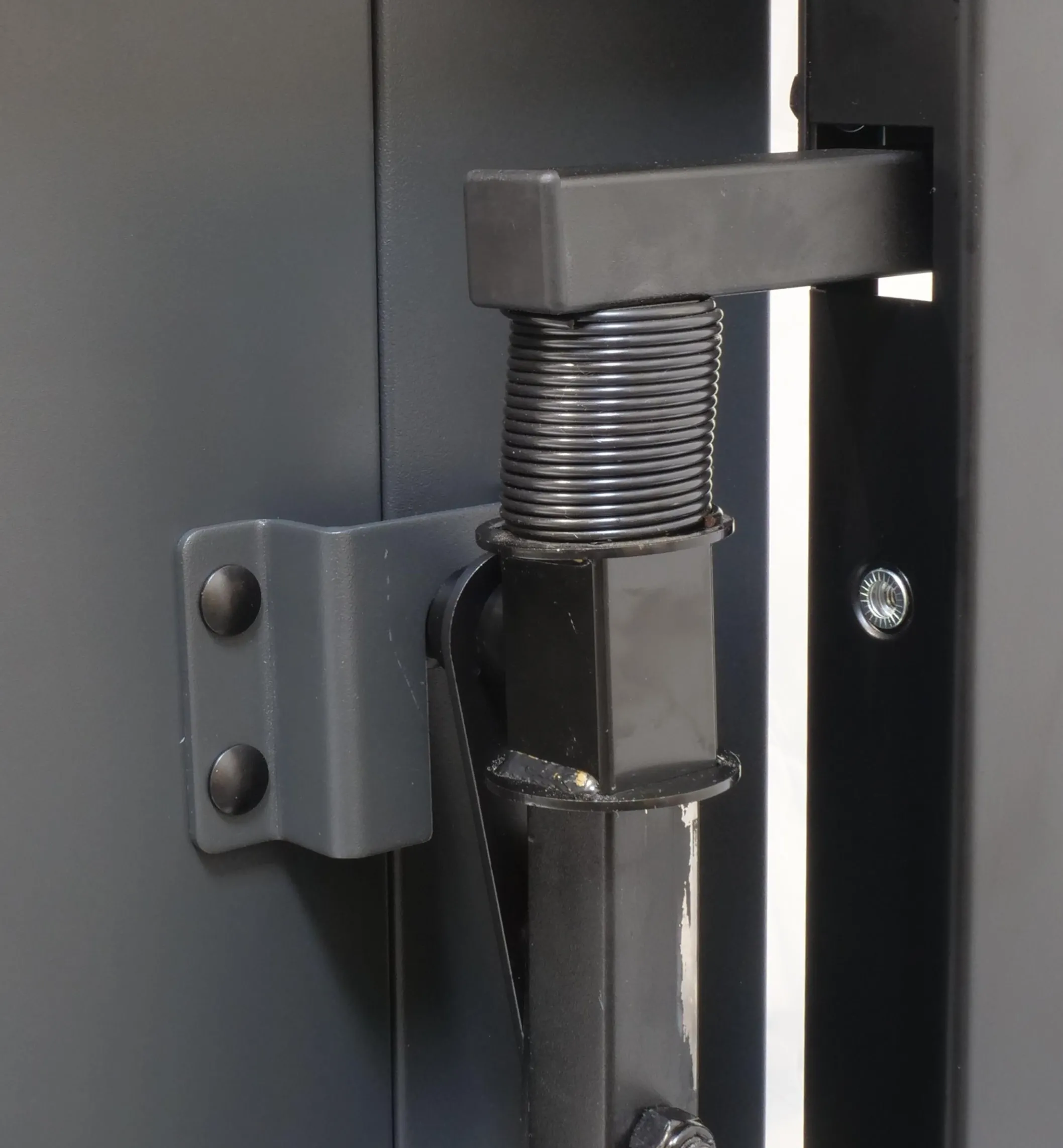 Laguna C|Flux 1 Cyclone Dust Collector