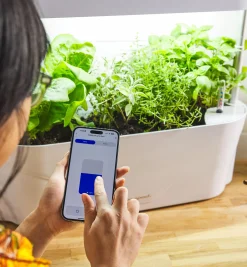 LED Grow Light & Planter