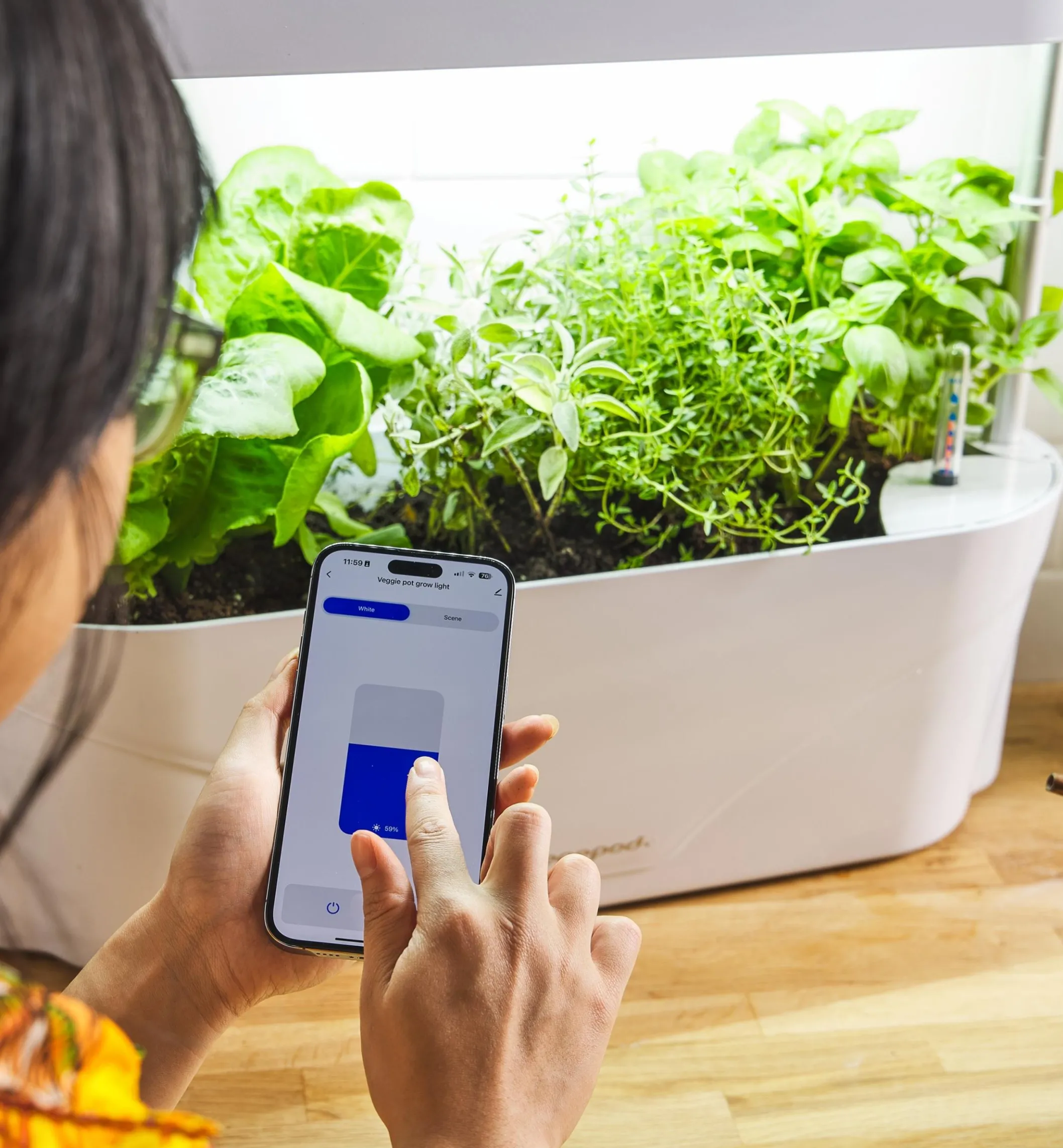 LED Grow Light & Planter