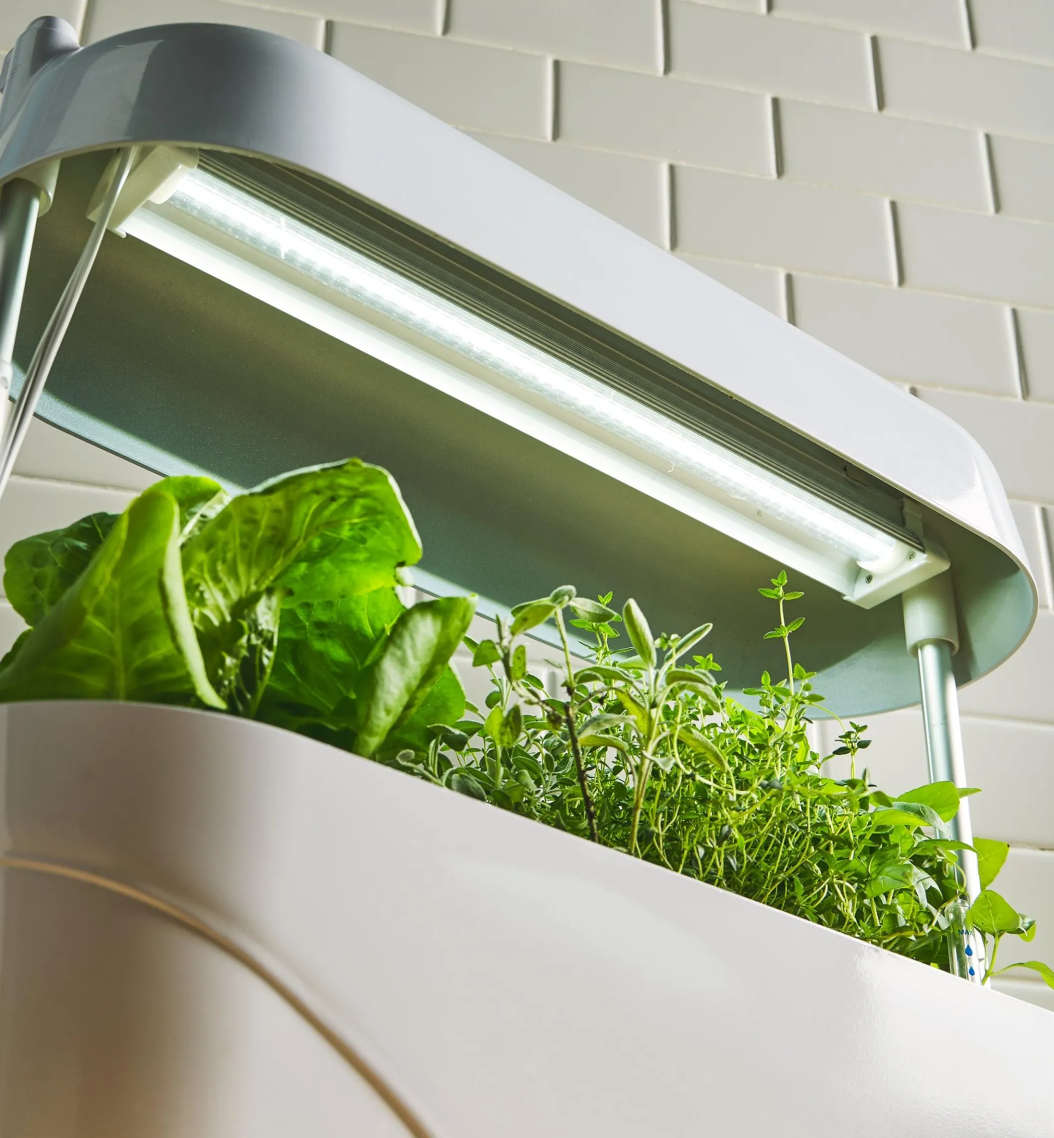 LED Grow Light & Planter