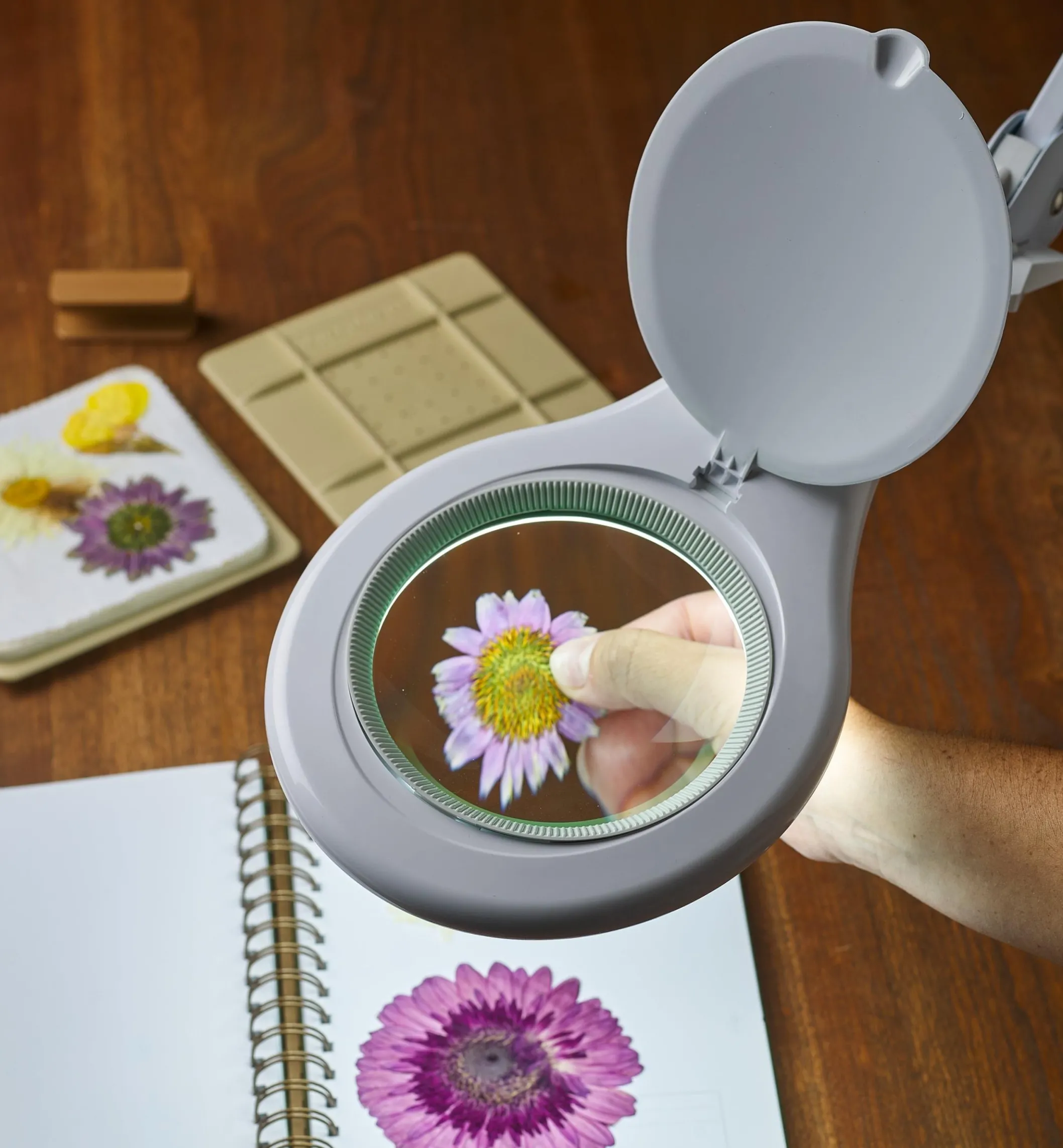 LED Magnifying Bench Lamp